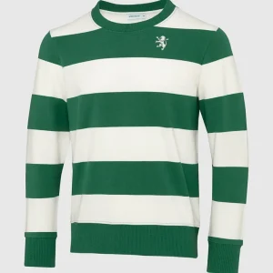 Sweatshirt DNA Stripes Leão - Mulher