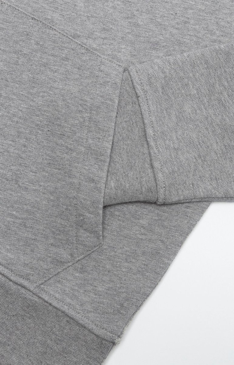 Hoodie Lion Fuse Gray - Criança - Image 5