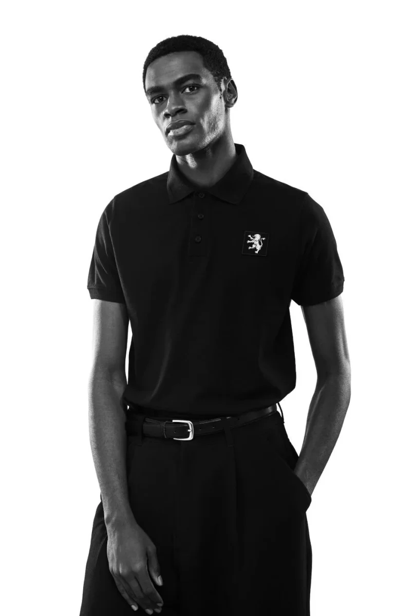Polo Silver Echo