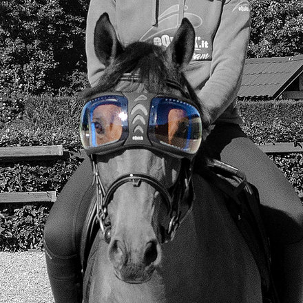 LENTES PARA EVYSOR - Image 2