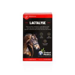 LACTALYSE 400ml