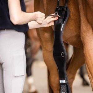 Cilha neoprene Coolmax com pontas elásticas STÜBBEN